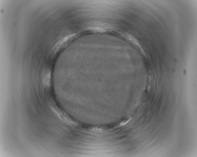 X0000087520596200705112008