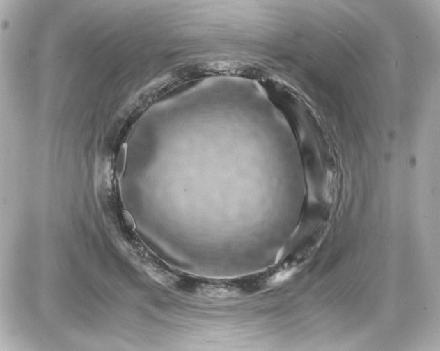 X0000087520597200705112008