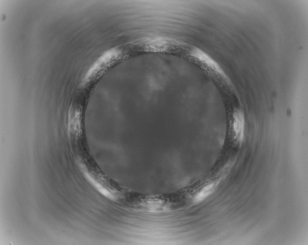 X0000087520598200705112008