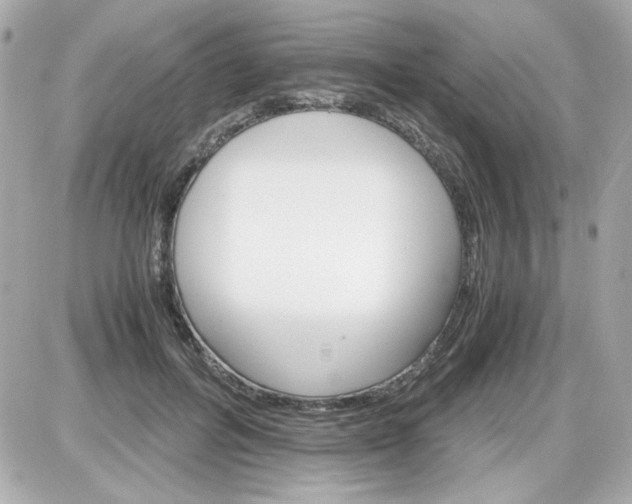 X0000087520600200705112008