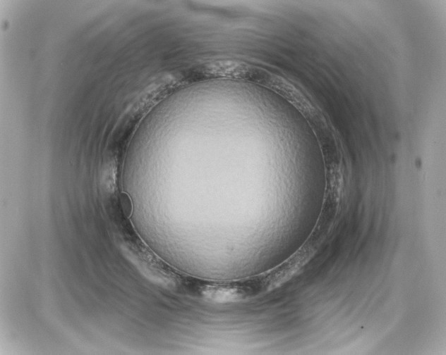 X0000087520602200705112008