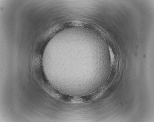 X0000087520603200705112008