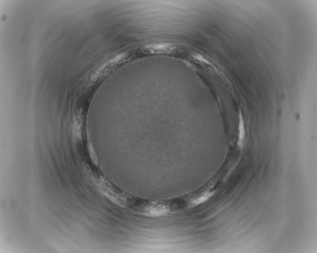 X0000087520604200705112008