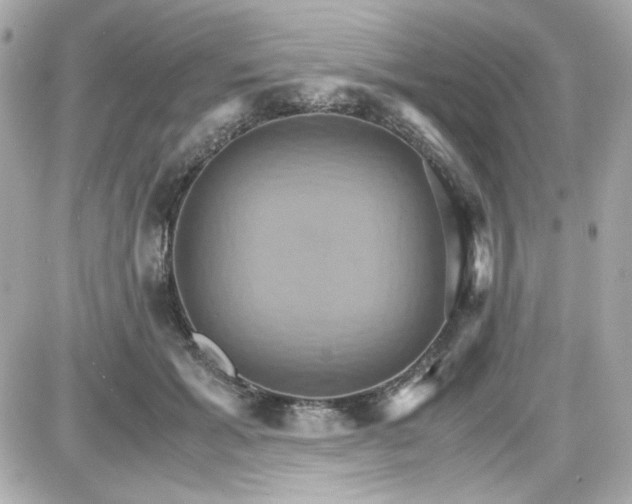 X0000087520605200705112008