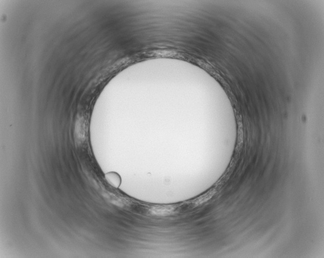 X0000087520606200705112008