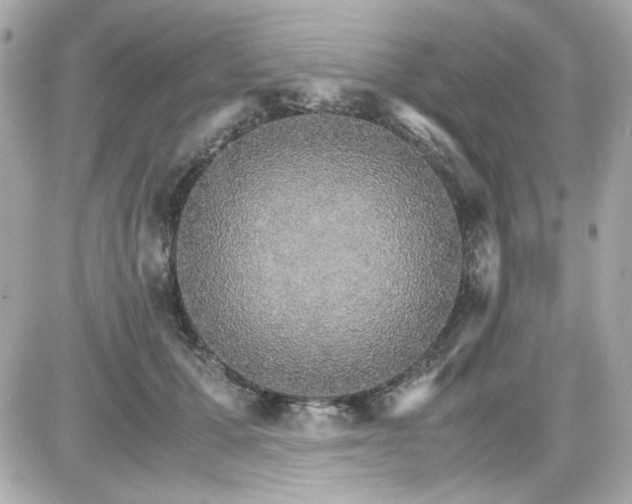 X0000087520607200705112008