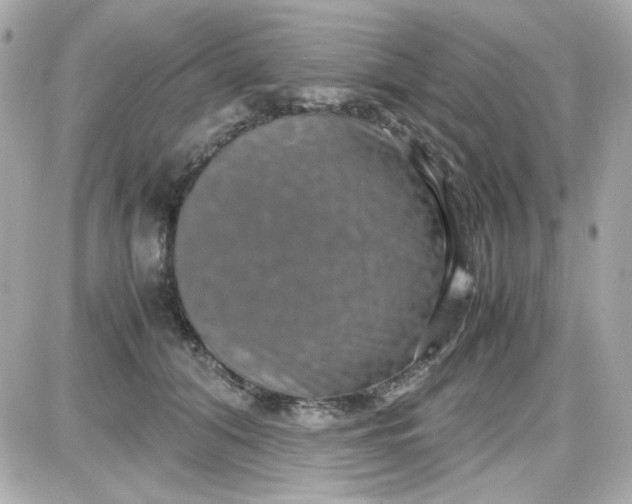 X0000087520608200705112008