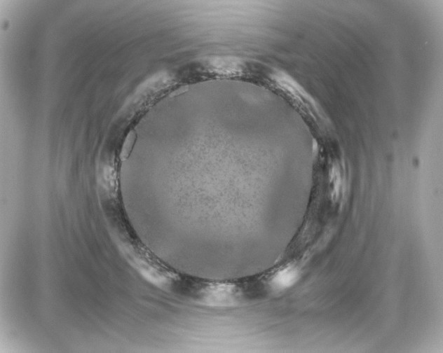 X0000087520609200705112008