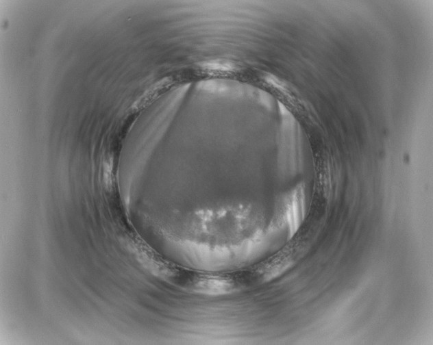 X0000087520610200705112008