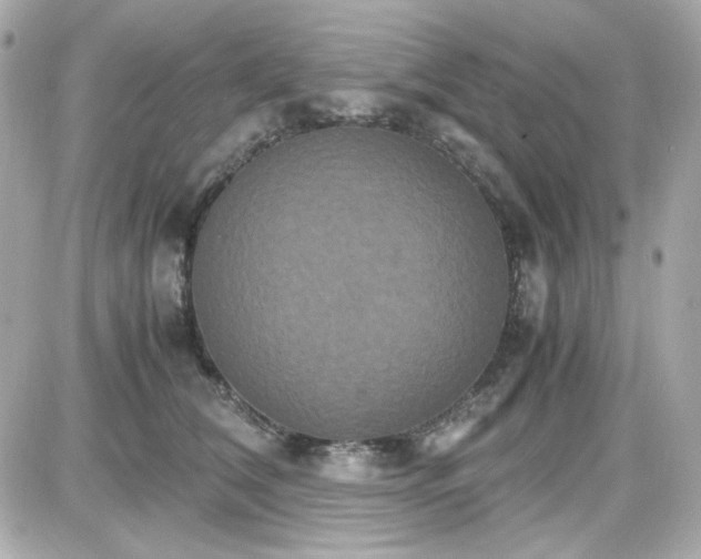 X0000087520612200705112008