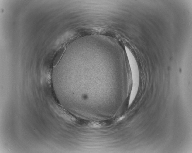 X0000087520613200705112008