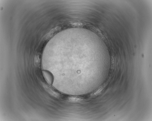 X0000087520614200705112008