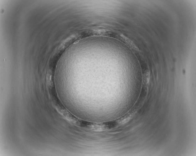 X0000087520615200705112008