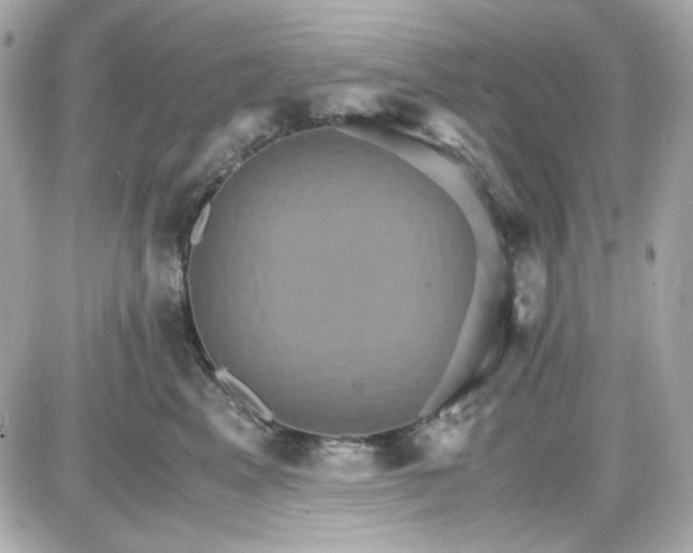 X0000087520617200705112008