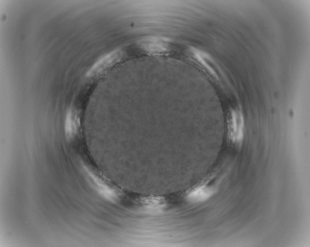 X0000087520618200705112008