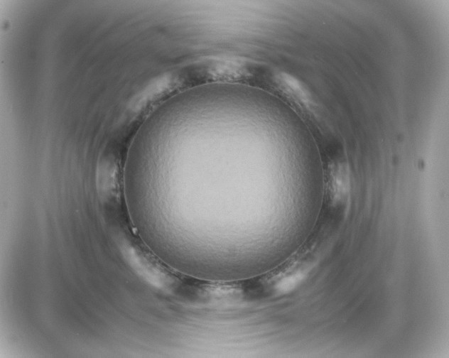 X0000087520619200705112008