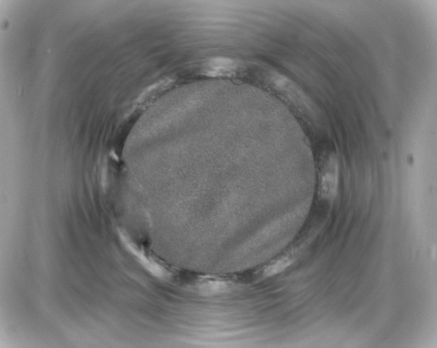 X0000087520620200705112008