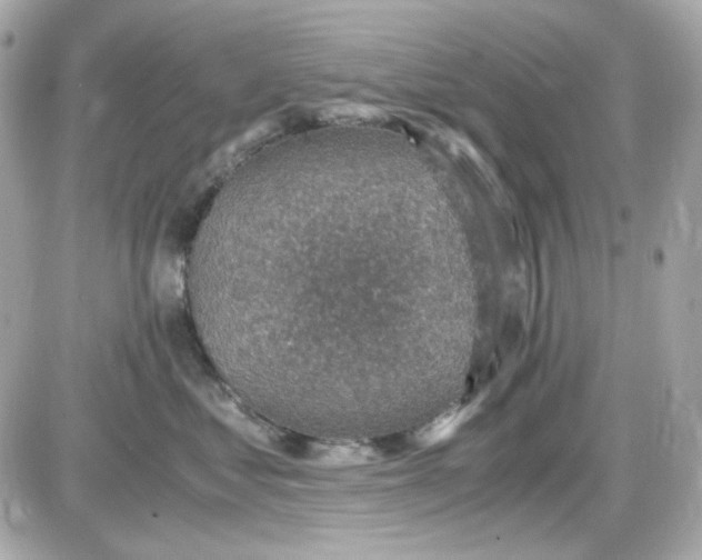 X0000087520621200705112008