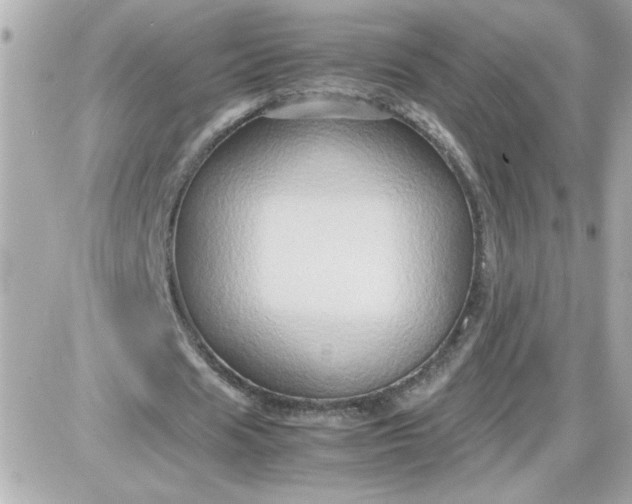 X0000087520625200705112007