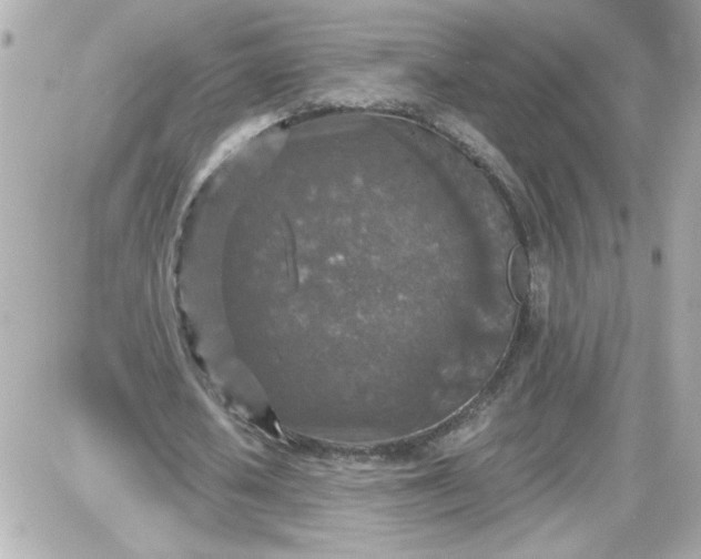 X0000087520626200705112007