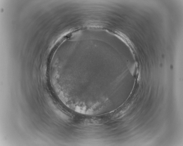 X0000087520627200705112007