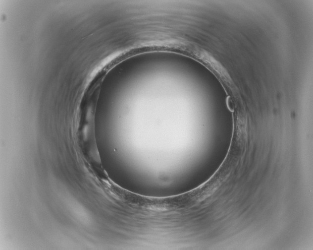 X0000087520628200705112007