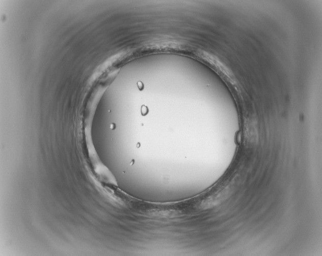 X0000087520629200705112007