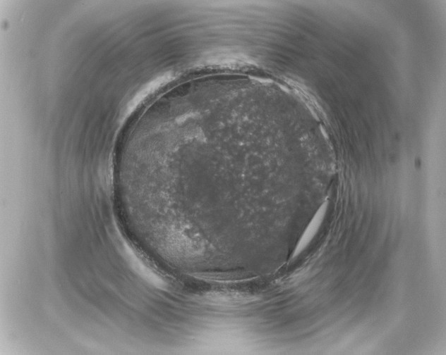 X0000087520630200705112007