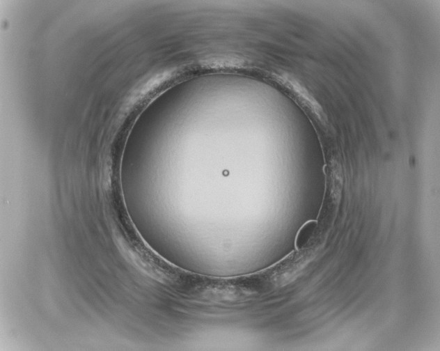 X0000087520631200705112007