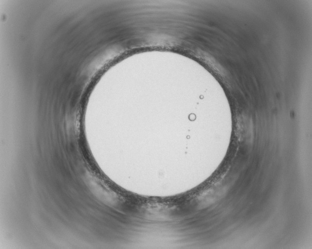 X0000087520632200705112007