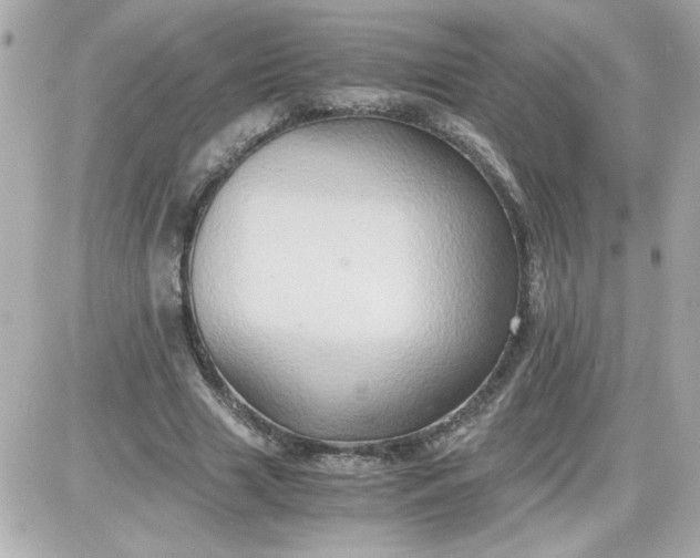 X0000087520633200705112007