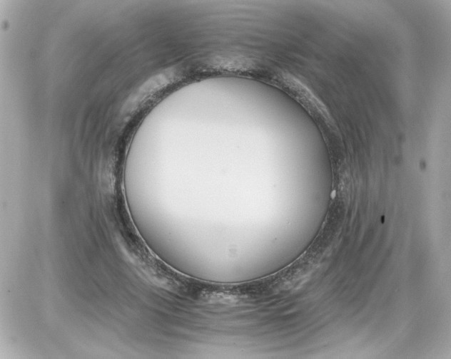 X0000087520635200705112007