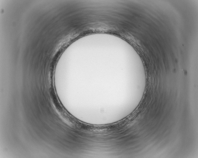 X0000087520638200705112007