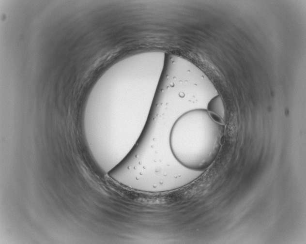 X0000087520639200705112007