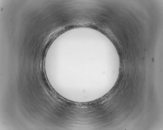 X0000087520640200705112007