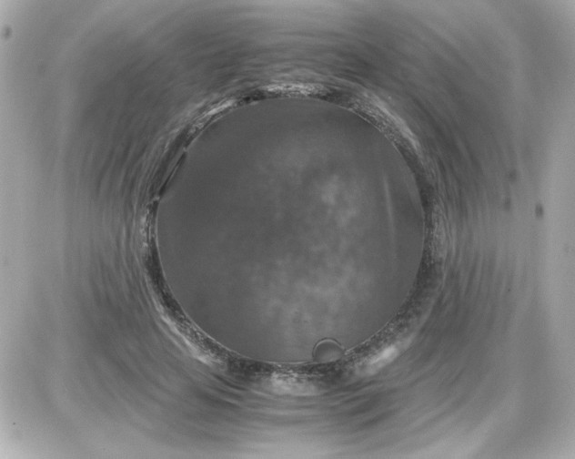 X0000087520641200705112007