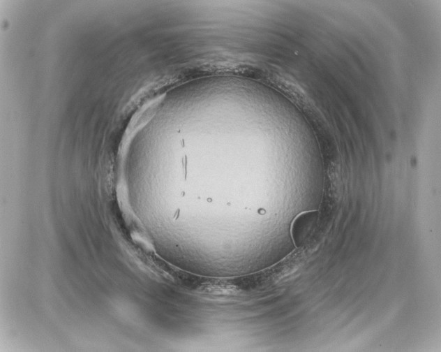 X0000087520642200705112007