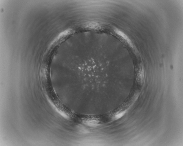 X0000087520643200705112007