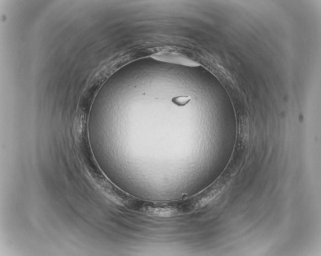 X0000087520645200705112007