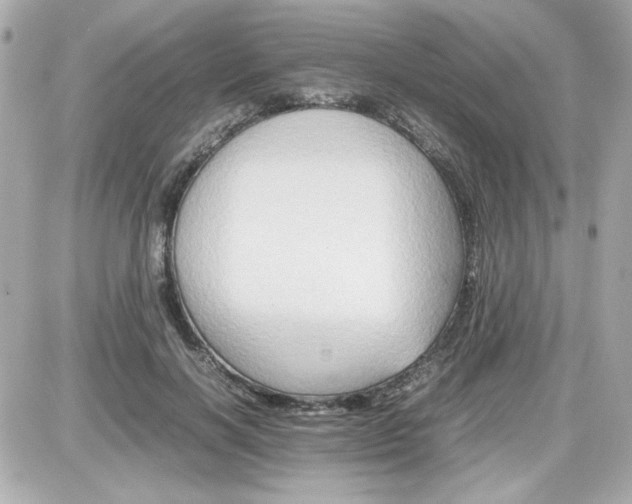 X0000087520646200705112007