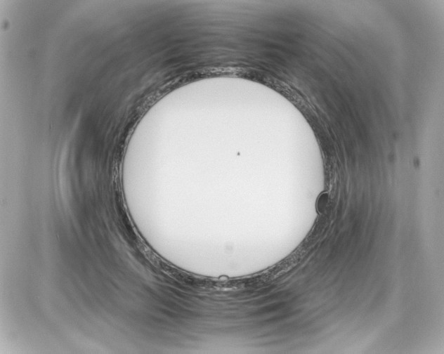 X0000087520647200705112007