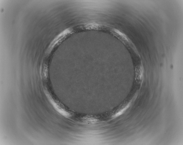 X0000087520648200705112007