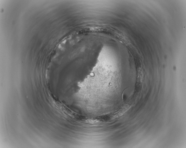 X0000087520650200705112007