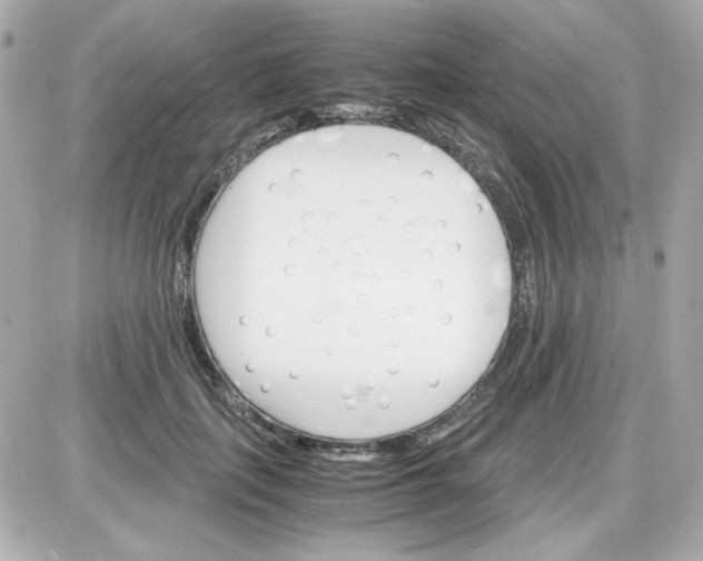 X0000087520651200705112007