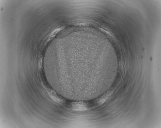 X0000087520652200705112007