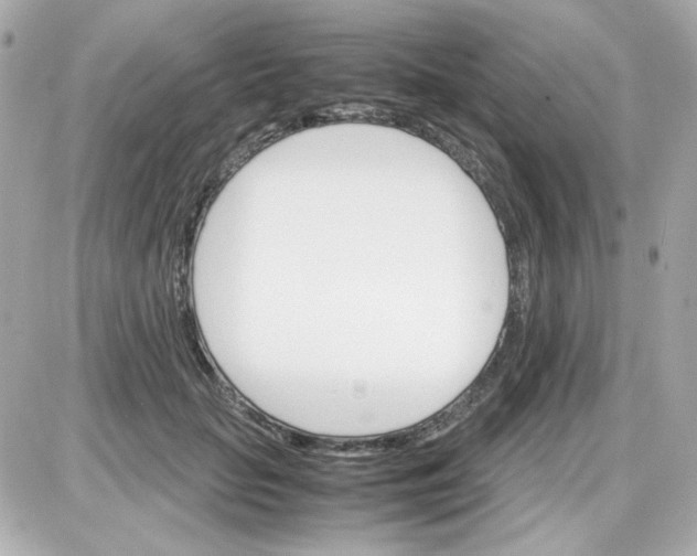 X0000087520653200705112007