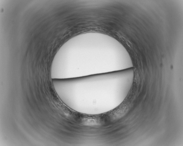 X0000087520655200705112007