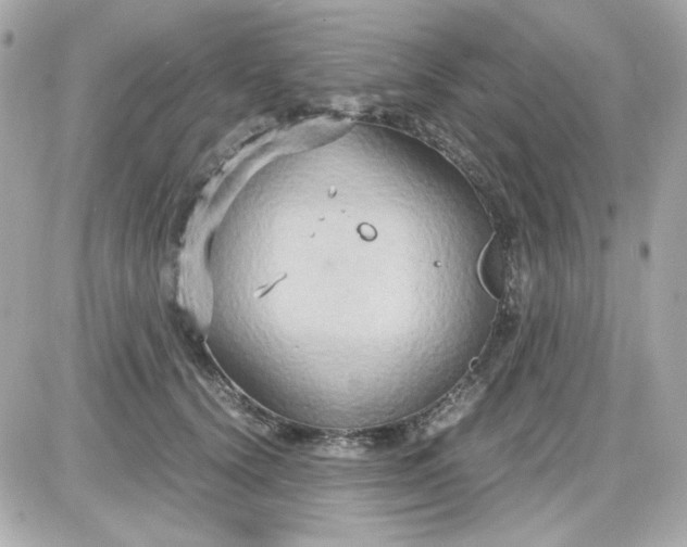 X0000087520656200705112007