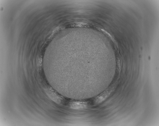 X0000087520657200705112007