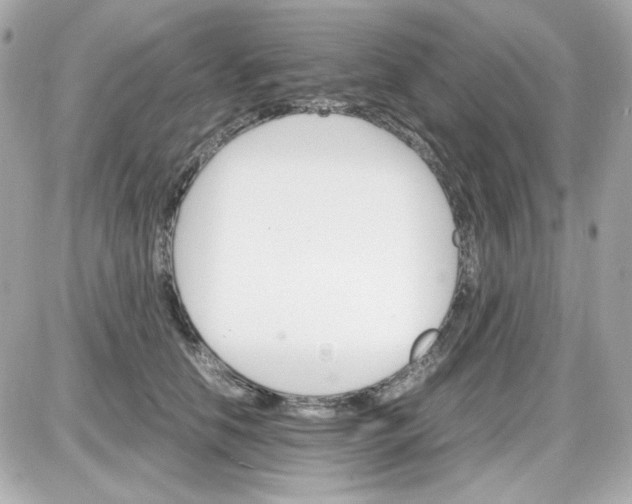 X0000087520658200705112007